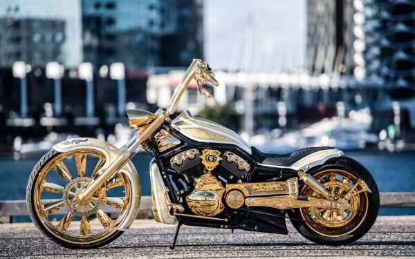 Harley Davidson V Rod Custom Show Bike