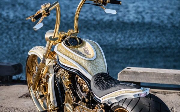 Harley Davidson V Rod Custom Show Bike